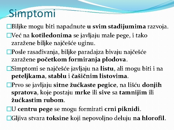 Simptomi �Biljke mogu biti napadnute u svim stadijumima razvoja. �Već na kotiledonima se javljaju