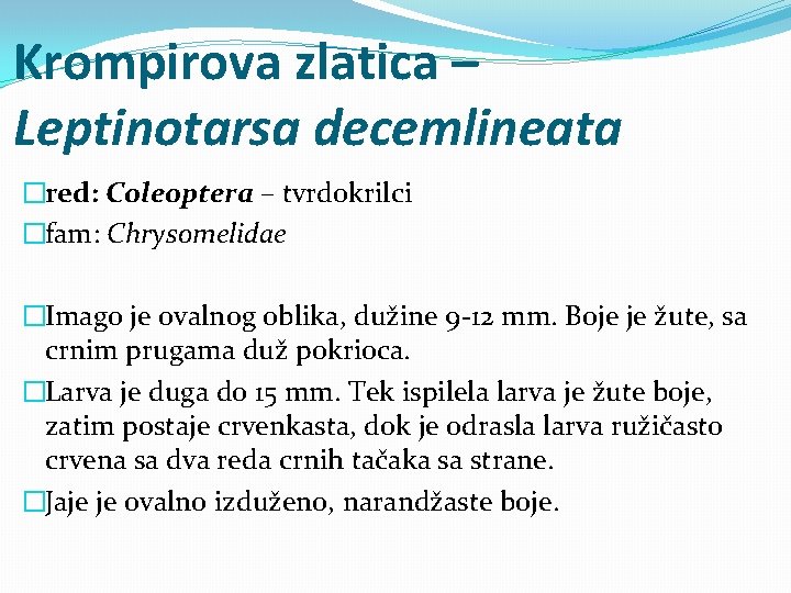 Krompirova zlatica – Leptinotarsa decemlineata �red: Coleoptera – tvrdokrilci �fam: Chrysomelidae �Imago je ovalnog