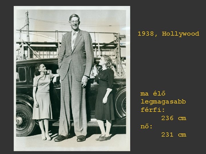 1938, Hollywood ma élő legmagasabb férfi: 236 cm nő: 231 cm 