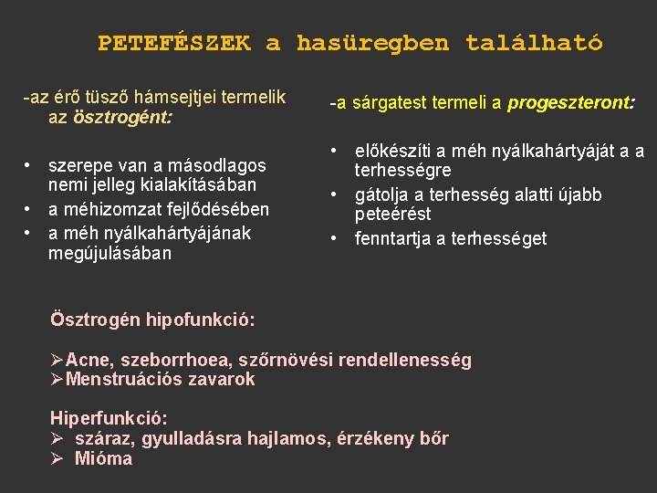 PETEFÉSZEK a hasüregben található -az érő tüsző hámsejtjei termelik az ösztrogént: • szerepe van