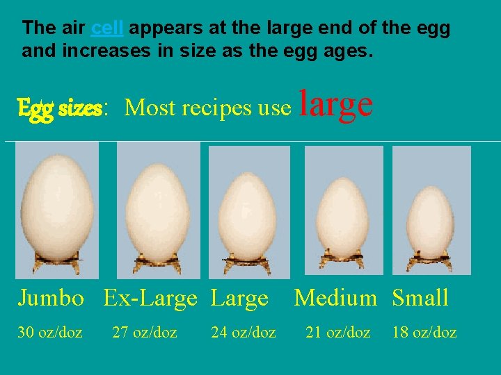 The air cell appears at the large end of the egg and increases in