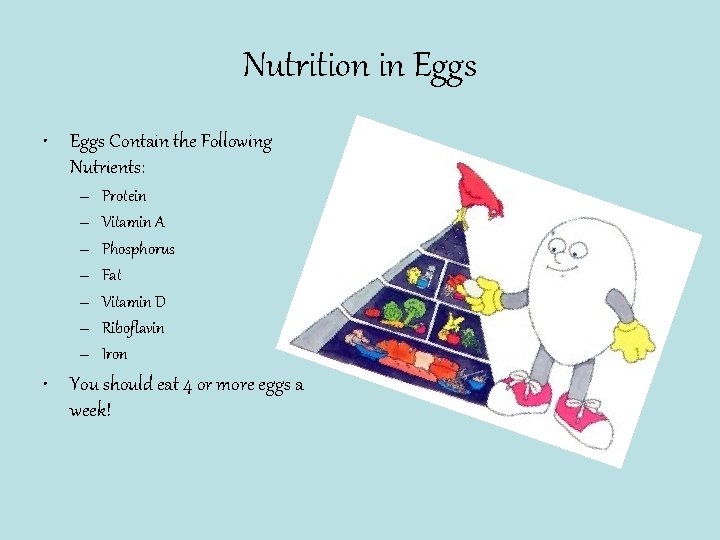 Nutrition in Eggs • Eggs Contain the Following Nutrients: – – – – Protein