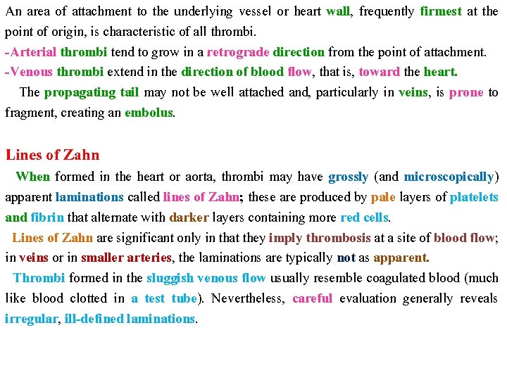 An area of attachment to the underlying vessel or heart wall, frequently firmest at