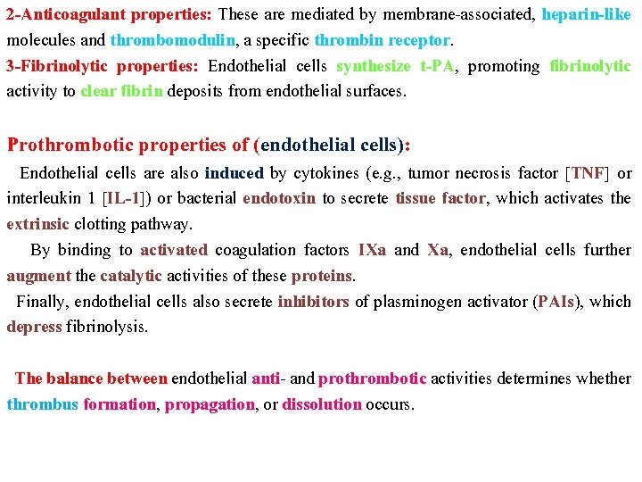 2 -Anticoagulant properties: These are mediated by membrane-associated, heparin-like molecules and thrombomodulin, a specific