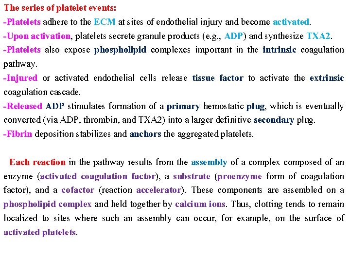 The series of platelet events: -Platelets adhere to the ECM at sites of endothelial