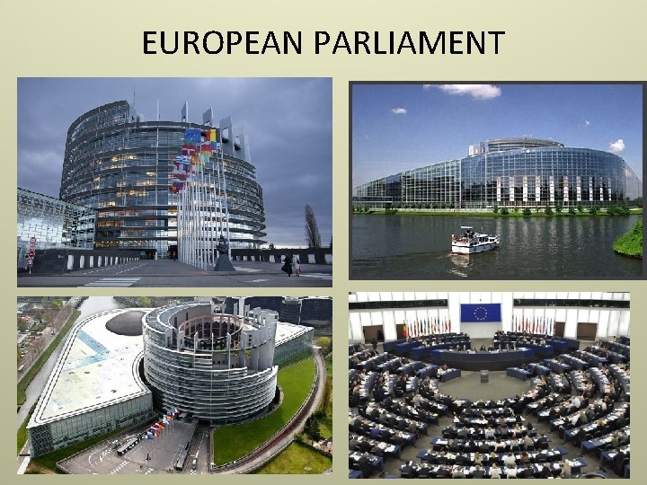 EUROPEAN PARLIAMENT 