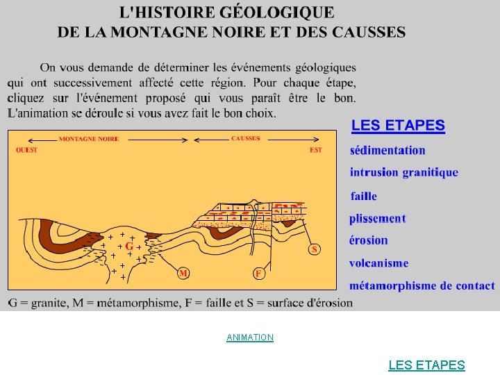 ANIMATION LES ETAPES 