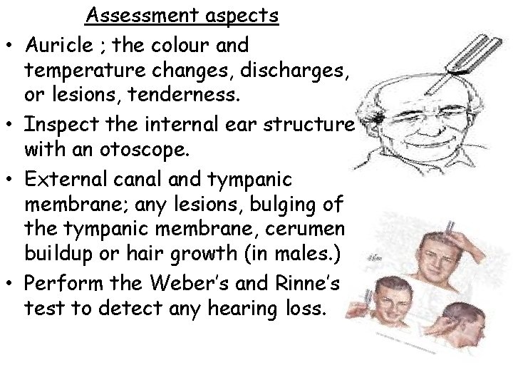  • • Assessment aspects Auricle ; the colour and temperature changes, discharges, or