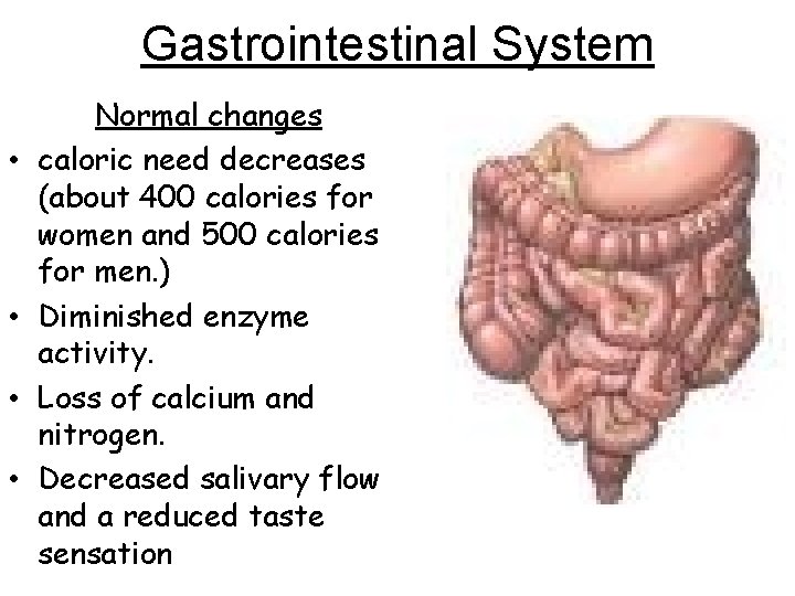Gastrointestinal System • • Normal changes caloric need decreases (about 400 calories for women