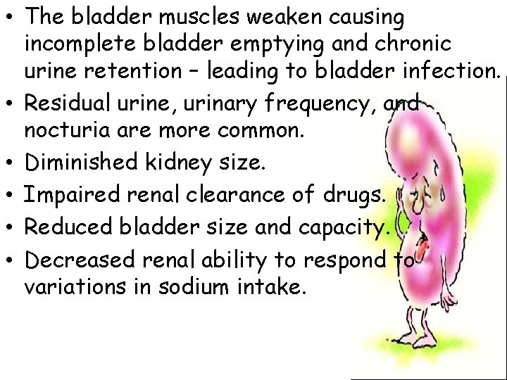  • The bladder muscles weaken causing incomplete bladder emptying and chronic urine retention