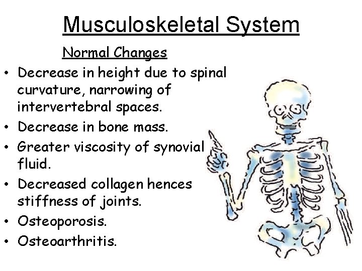 Musculoskeletal System • • • Normal Changes Decrease in height due to spinal curvature,