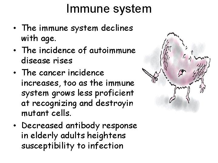 Immune system • The immune system declines with age. • The incidence of autoimmune