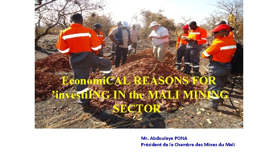 Economi. CAL REASONS FOR ’investi. ING IN the MALI MINING SECTOR Mr. Abdoulaye PONA