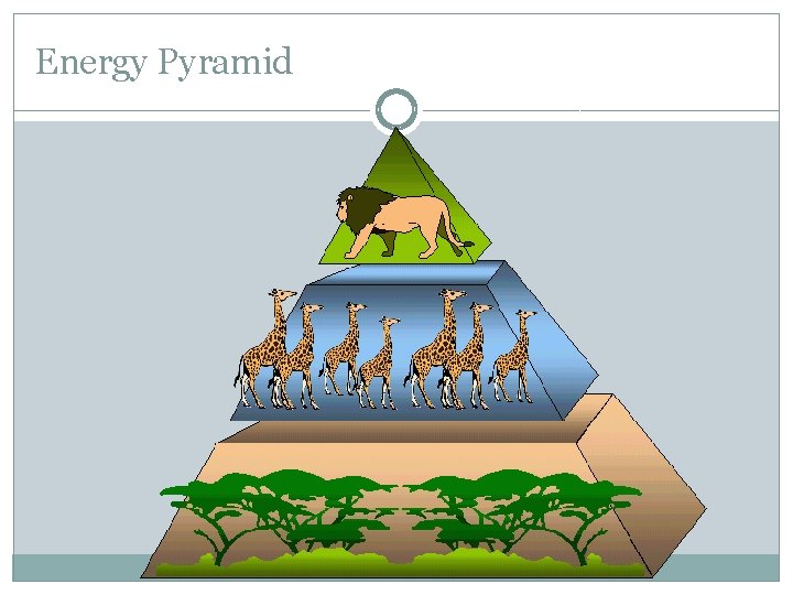Energy Pyramid 