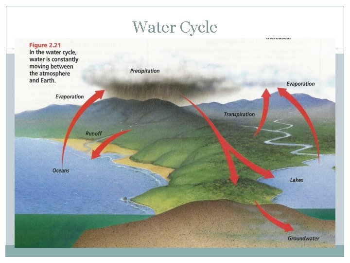 Water Cycle 