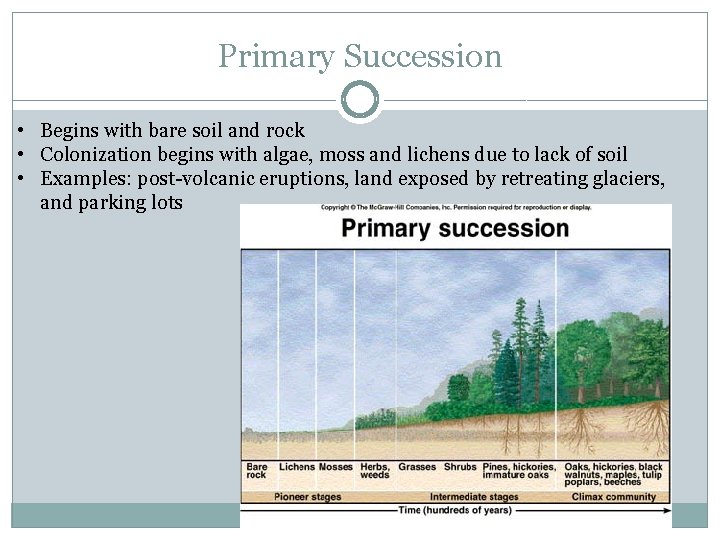Primary Succession • Begins with bare soil and rock • Colonization begins with algae,