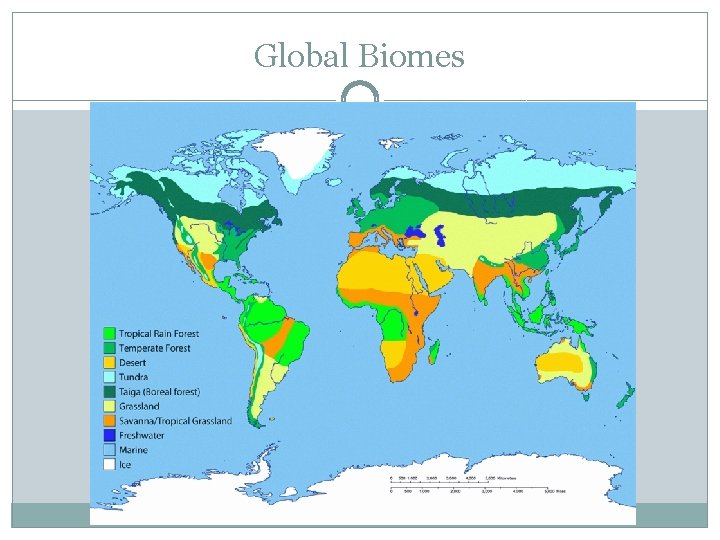 Global Biomes 