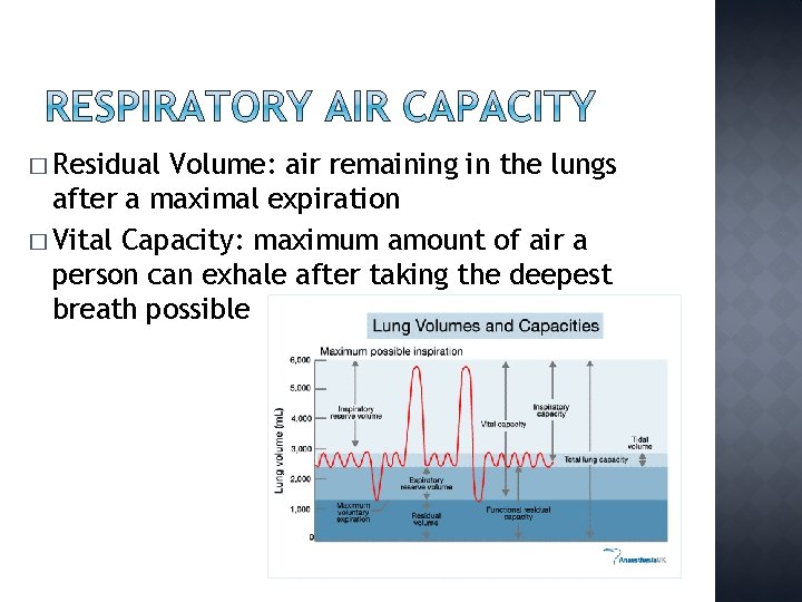 � Residual Volume: air remaining in the lungs after a maximal expiration � Vital