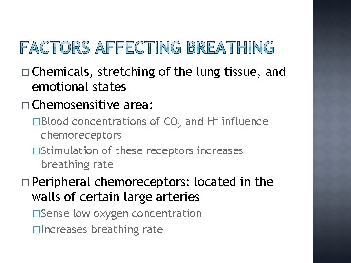 � Chemicals, stretching of the lung tissue, and emotional states � Chemosensitive area: �Blood
