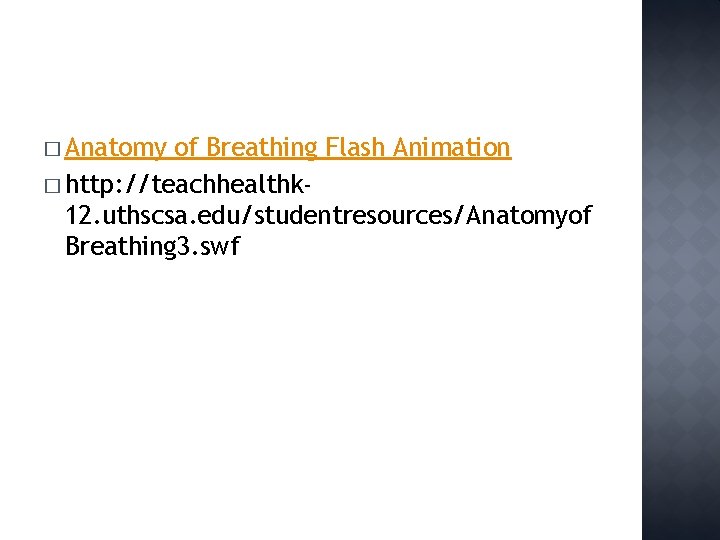 � Anatomy of Breathing Flash Animation � http: //teachhealthk 12. uthscsa. edu/studentresources/Anatomyof Breathing 3.