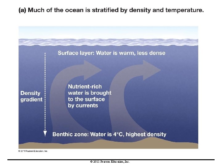 © 2011 Pearson Education, Inc. 
