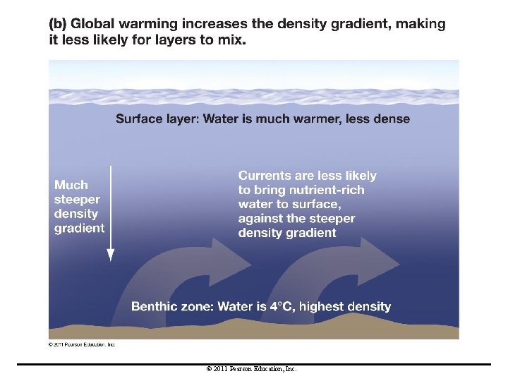 © 2011 Pearson Education, Inc. 