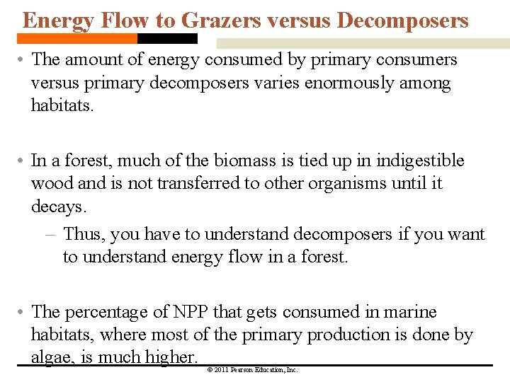 Energy Flow to Grazers versus Decomposers • The amount of energy consumed by primary