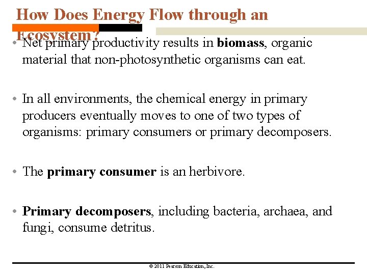 How Does Energy Flow through an Ecosystem? • Net primary productivity results in biomass,