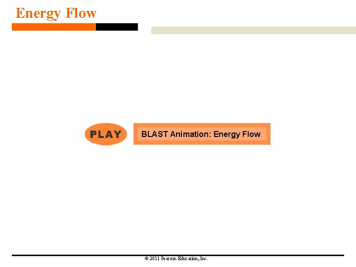 Energy Flow BLAST Animation: Energy Flow © 2011 Pearson Education, Inc. Energy Flow BLAST Animation: Energy Flow © 2011 Pearson Education, Inc.