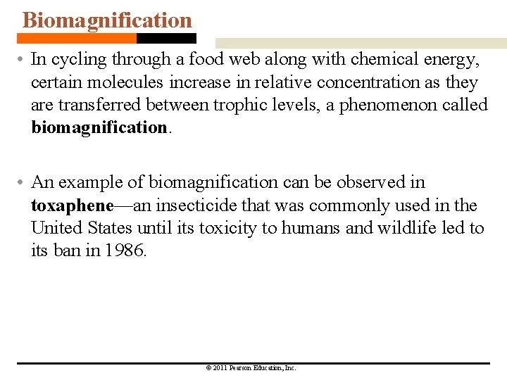 Biomagnification • In cycling through a food web along with chemical energy, certain molecules