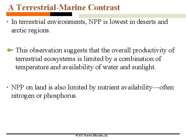 A Terrestrial-Marine Contrast • In terrestrial environments, NPP is lowest in deserts and arctic