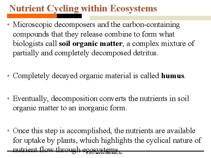 Nutrient Cycling within Ecosystems • Microscopic decomposers and the carbon-containing compounds that they release