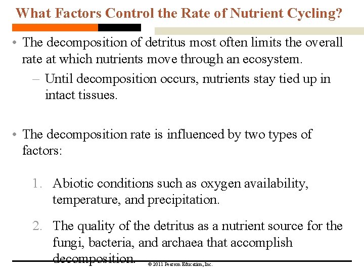 What Factors Control the Rate of Nutrient Cycling? • The decomposition of detritus most