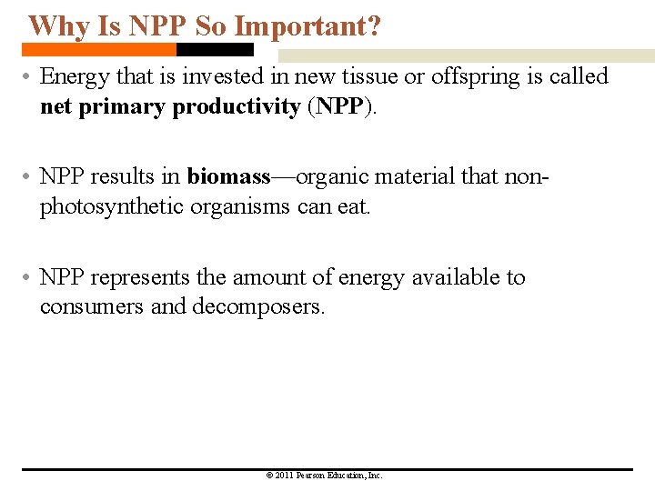 Why Is NPP So Important? • Energy that is invested in new tissue or