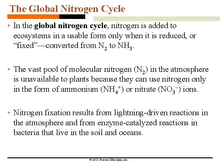 The Global Nitrogen Cycle • In the global nitrogen cycle, nitrogen is added to The Global Nitrogen Cycle • In the global nitrogen cycle, nitrogen is added to