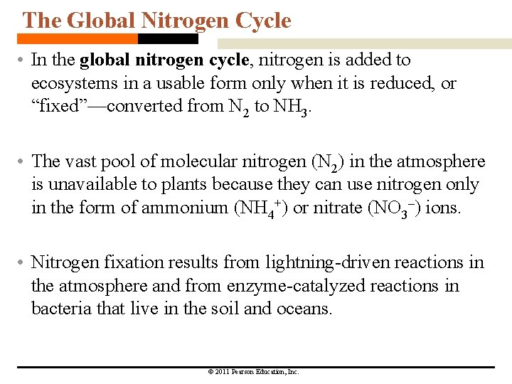 The Global Nitrogen Cycle • In the global nitrogen cycle, nitrogen is added to