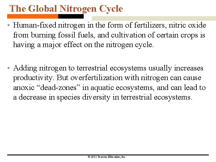 The Global Nitrogen Cycle • Human-fixed nitrogen in the form of fertilizers, nitric oxide