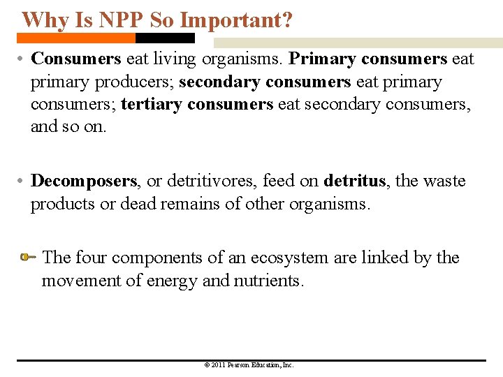 Why Is NPP So Important? • Consumers eat living organisms. Primary consumers eat primary