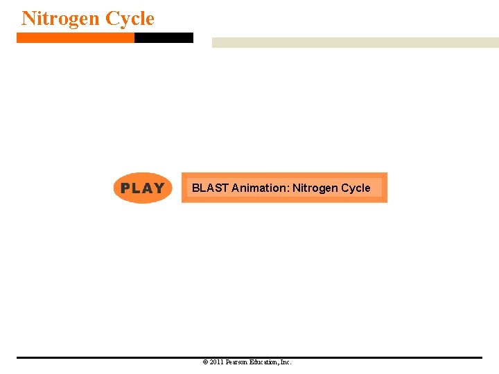 Nitrogen Cycle BLAST Animation: Nitrogen Cycle © 2011 Pearson Education, Inc. Nitrogen Cycle BLAST Animation: Nitrogen Cycle © 2011 Pearson Education, Inc.