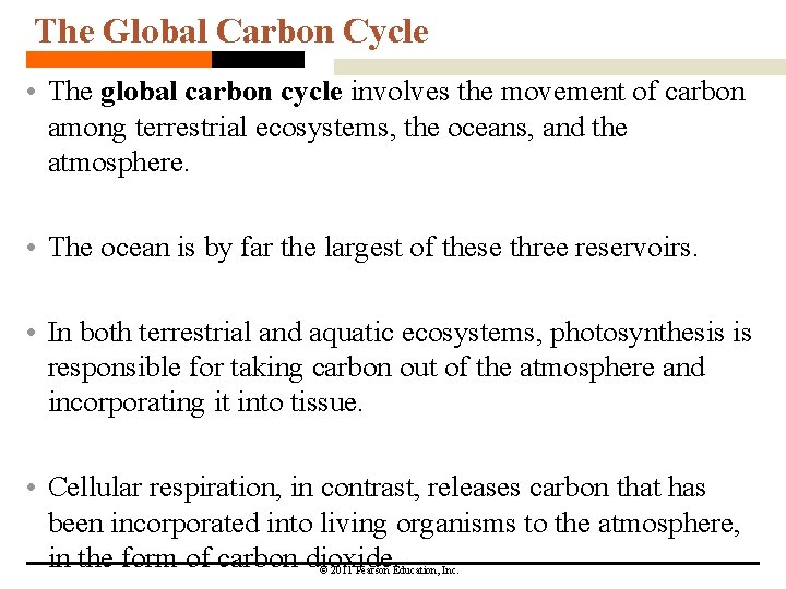 The Global Carbon Cycle • The global carbon cycle involves the movement of carbon
