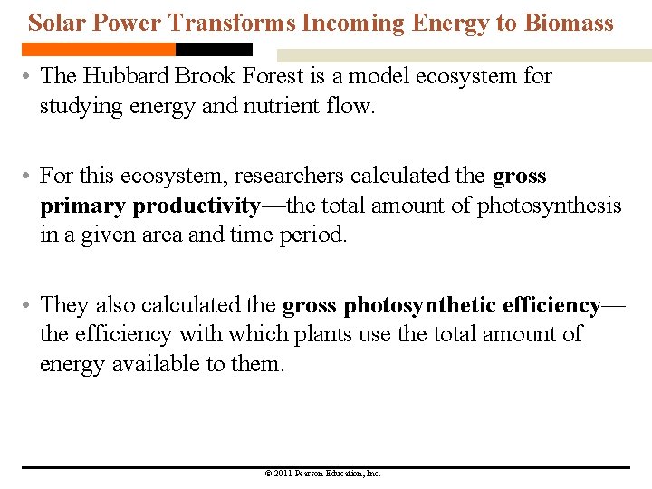 Solar Power Transforms Incoming Energy to Biomass • The Hubbard Brook Forest is a