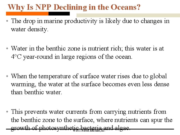 Why Is NPP Declining in the Oceans? • The drop in marine productivity is