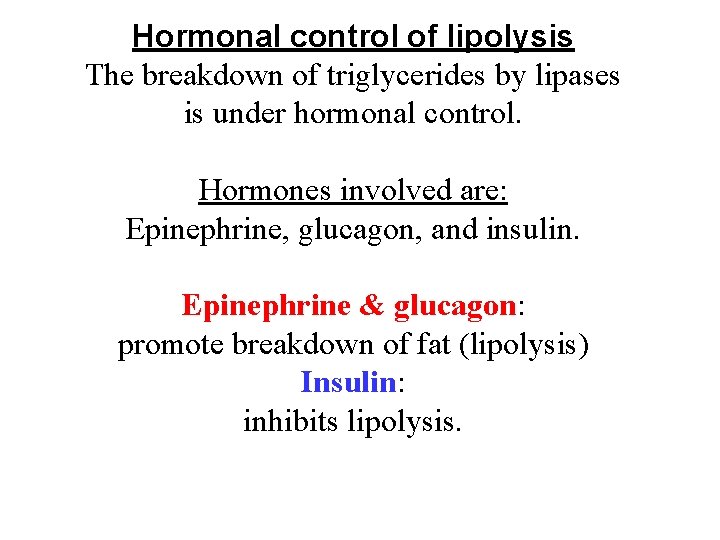 Hormonal control of lipolysis The breakdown of triglycerides by lipases is under hormonal control.