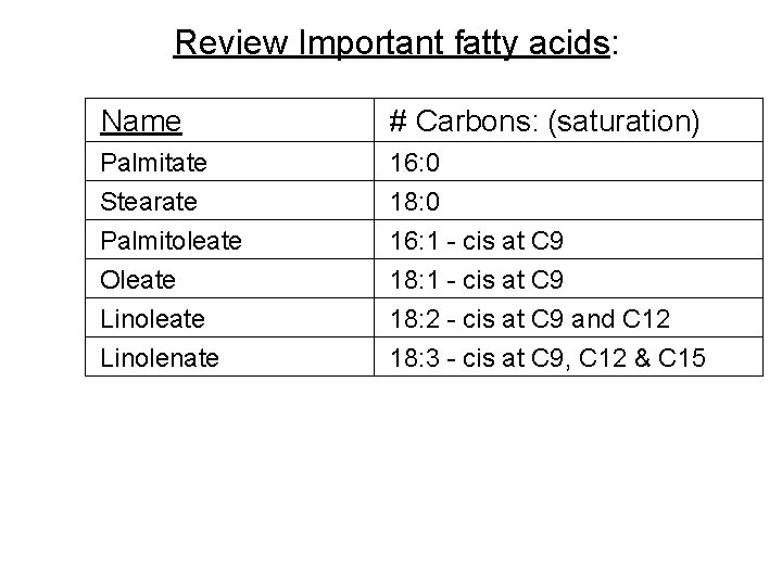 Review Important fatty acids: Name # Carbons: (saturation) Palmitate Stearate Palmitoleate Oleate Linolenate 16: