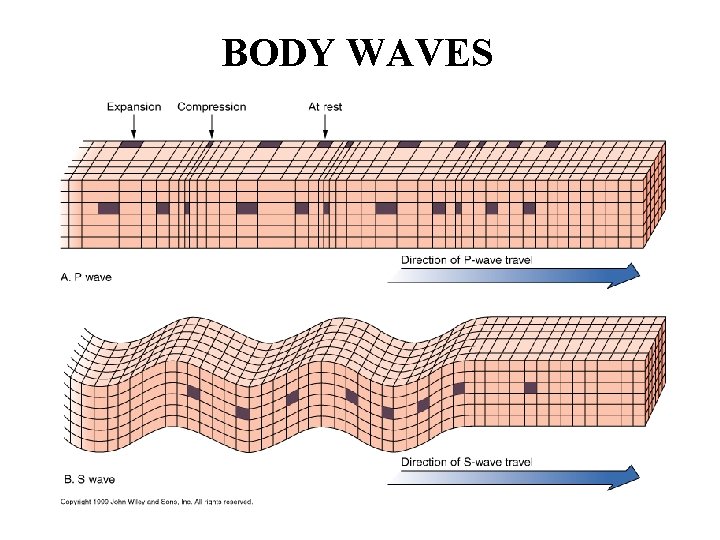 BODY WAVES 