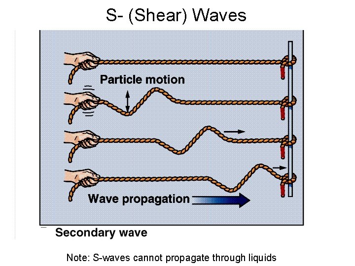 S- (Shear) Waves Note: S-waves cannot propagate through liquids 