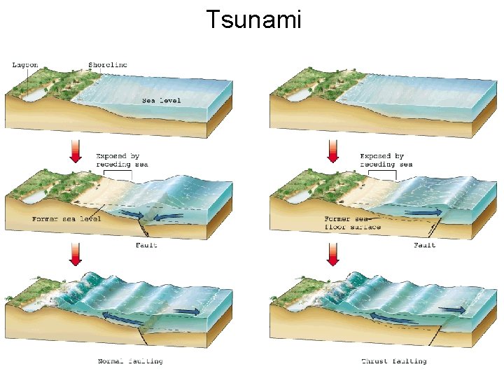 Tsunami 