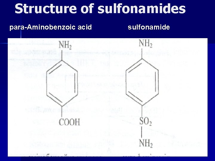 Structure of sulfonamides para-Aminobenzoic acid sulfonamide 