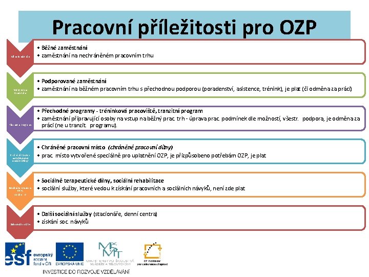 Pracovní příležitosti pro OZP Běžné zaměstnání Podporované zaměstnání Přechodné programy Chráněná pracovní místa (chráněné