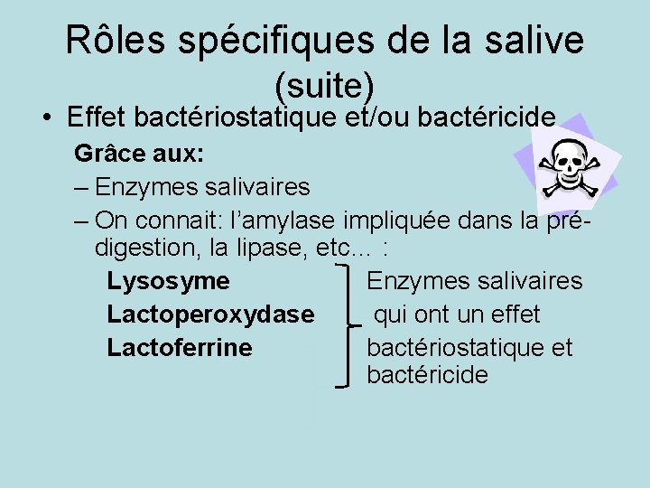 Rôles spécifiques de la salive (suite) • Effet bactériostatique et/ou bactéricide Grâce aux: –